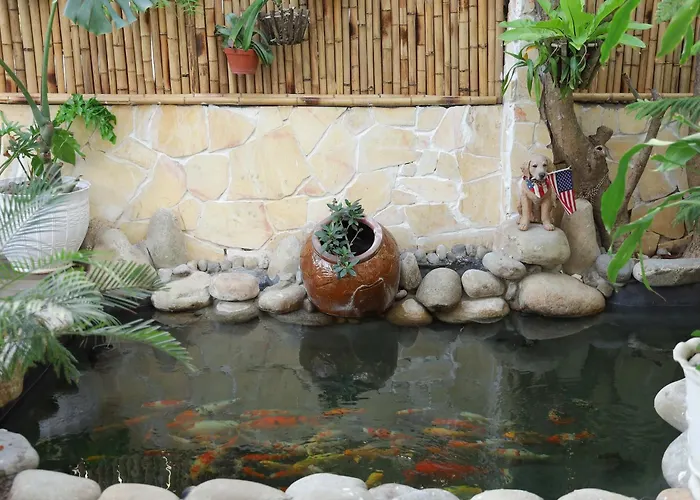 Green Jungle Homestay: Family-Friendly Retreat with Pool and Beach Access